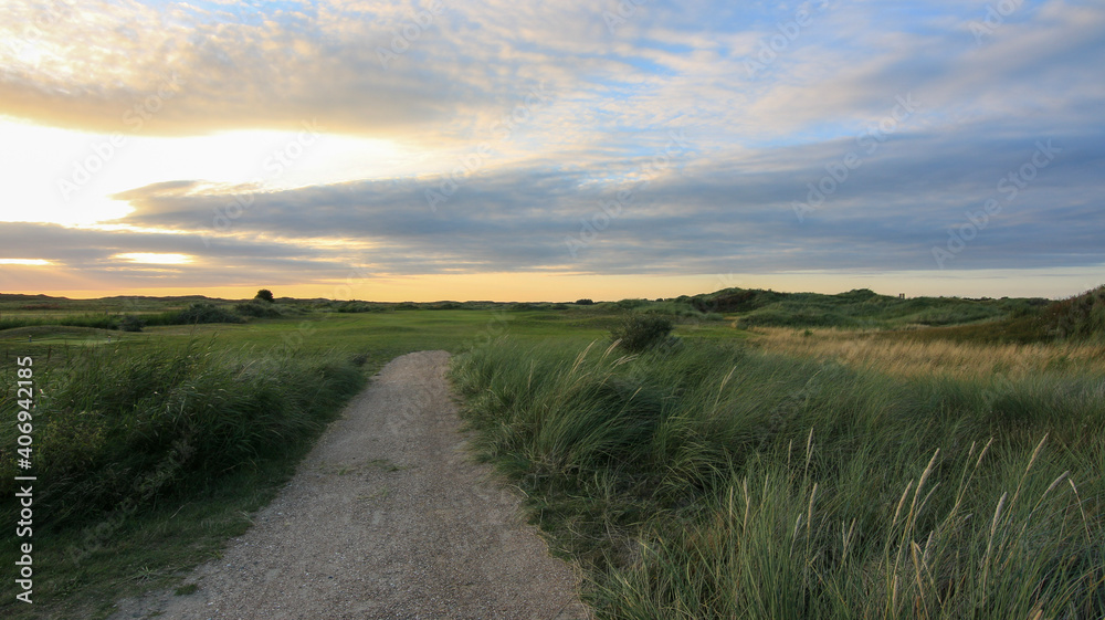 Obraz premium path in the field