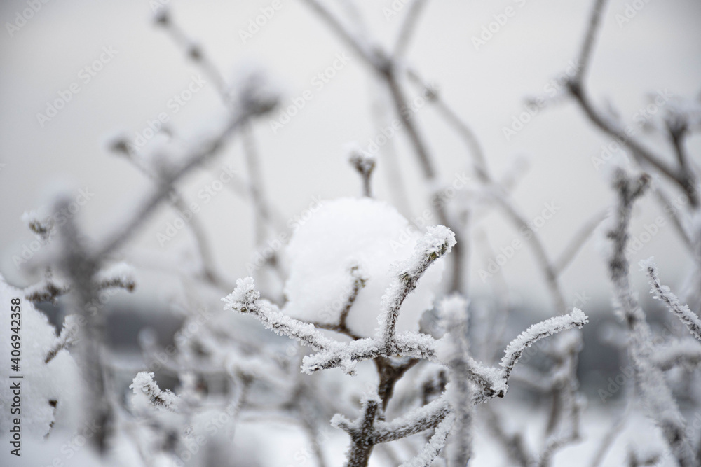 Wonderful white winter landscape with branches of trees covered by snow after big snowfall 
