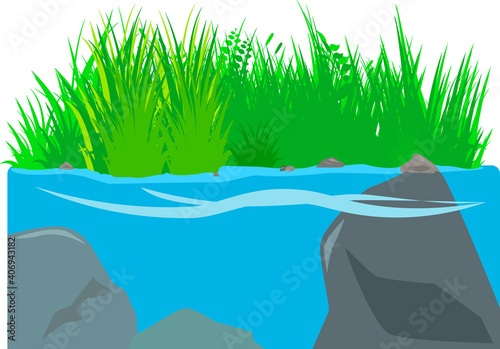 水辺の草むらと川の中