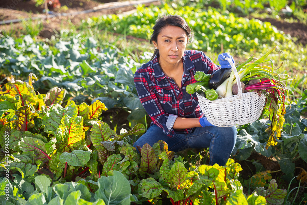 Fototapeta premium Smiling hispanic female gardener holding fresh greens and vegetables grown in her home garden