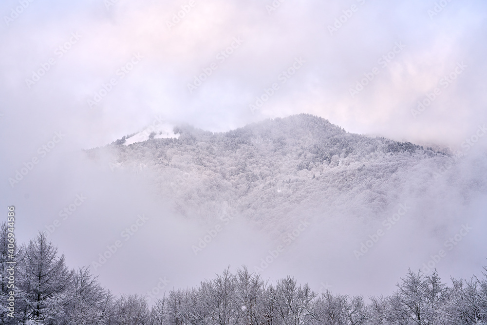 Obraz premium winter landscape in the mountains