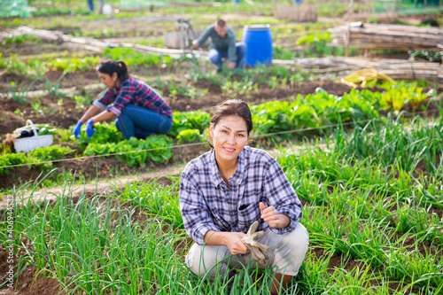 Successful female gardener with green onion on the field photo