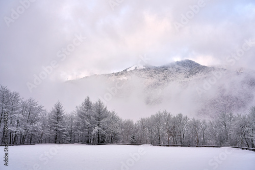 winter landscape in the mountains © Cody Yim