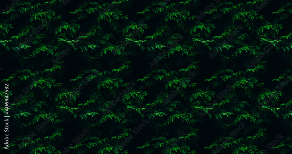 Green leaves on tree branches. Leaf pattern background Green leaves on tree branches. Leaf pattern background