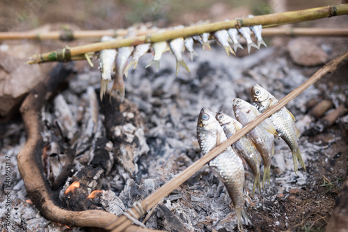 Fisherman placing fresh fish on bamboo stick for cooking on a fire photo