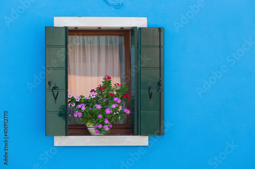 Open Window shutters  and flowers on blue wall  Burano  Venice