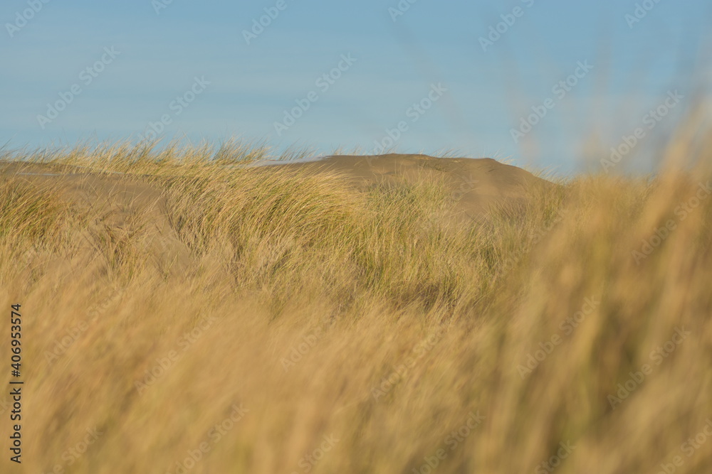 Obraz premium Nordseeküste im Winter von Niederlande