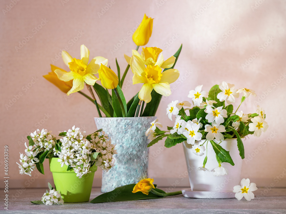 Still life with spring flowers. Composition with primrose, tulips and daffodils