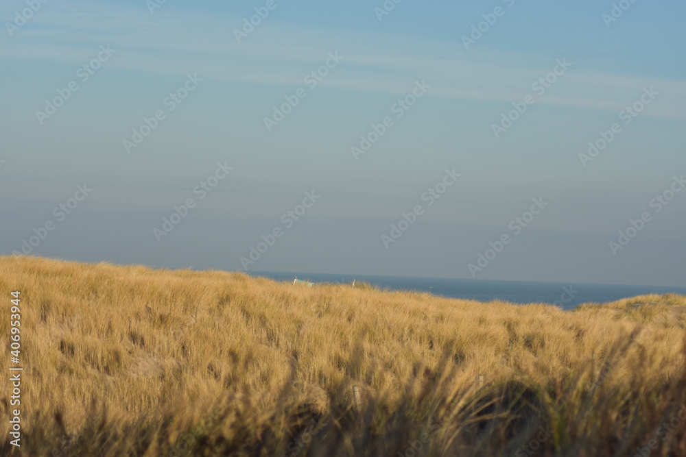 Nordseeküste in Niederlande