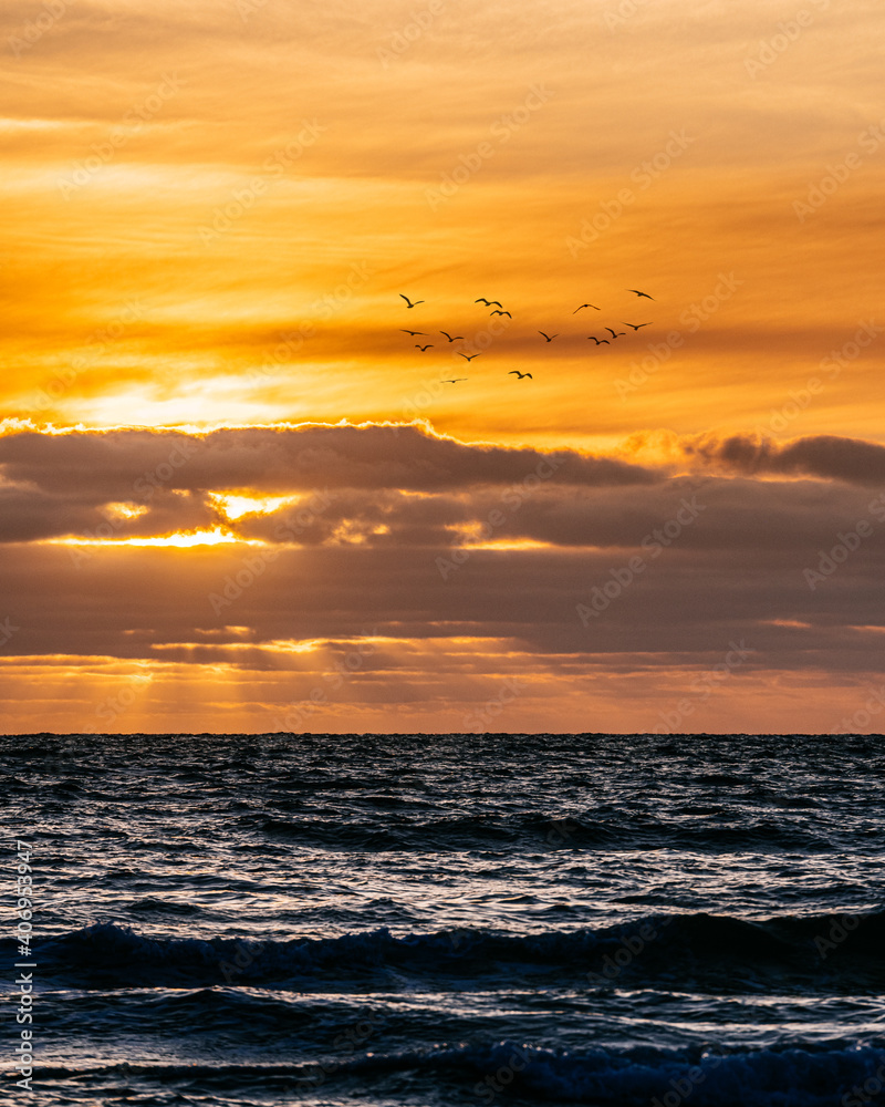Sunset clouds over ocean with flock of seagulls Sunset clouds over ocean with flock of seagulls