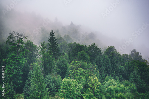 Fototapeta Naklejka Na Ścianę i Meble -  Misty mountain landscape