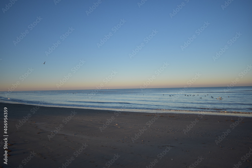 Nordseeküste in Niederlande, Strand, Krabben und Muscheln.