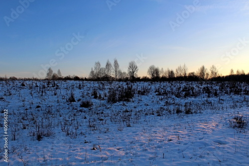 Beautiful winter nature on a frosty day. Unique image of a snow-covered environment.