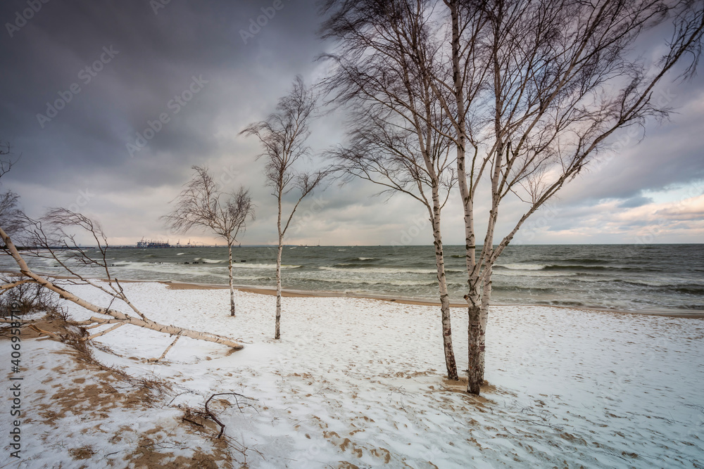 Winter landscape of a snow covered beach at Baltic Sea in Gdansk. Poland Winter landscape of a snow covered beach at Baltic Sea in Gdansk. Poland