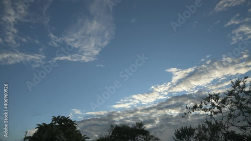 Trees Silhouettes and White Clouds at Blue Sky in Brazil 