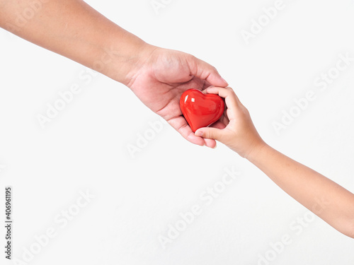 Fototapeta Naklejka Na Ścianę i Meble -  Heart in child and mother hands