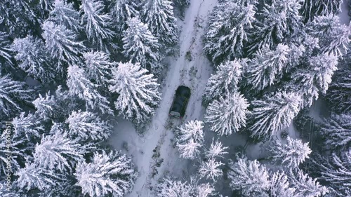 Offroad car trip through the Ukrainian Carpathians in winter. Christmas tree and snowy road. External expedition.Ice. Aerial view photo