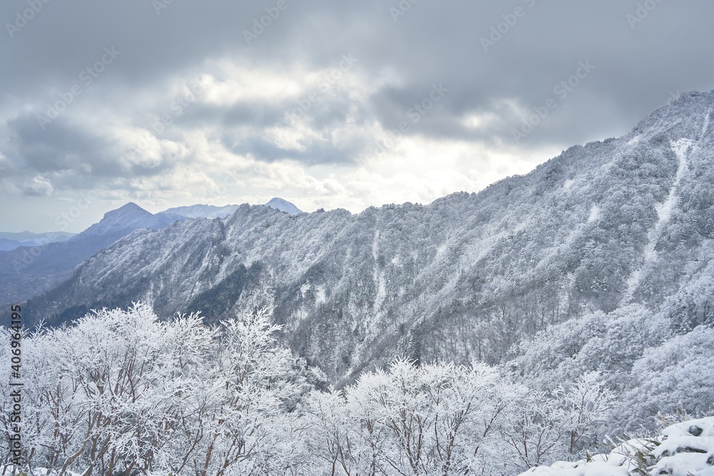 霧氷や樹氷が美しい冬山。厳冬期の石鎚山。 霧氷や樹氷が美しい冬山。厳冬期の石鎚山。