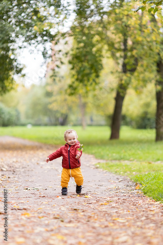 Little boy walking on path with fallen leaves in autumn park