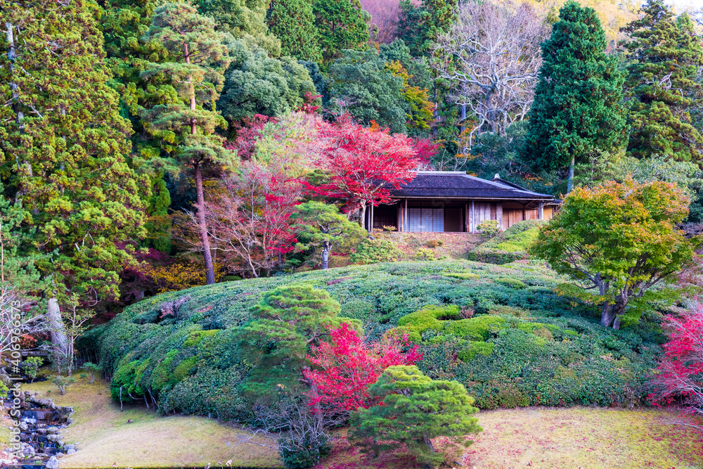 秋の日本庭園 京都 修学院離宮