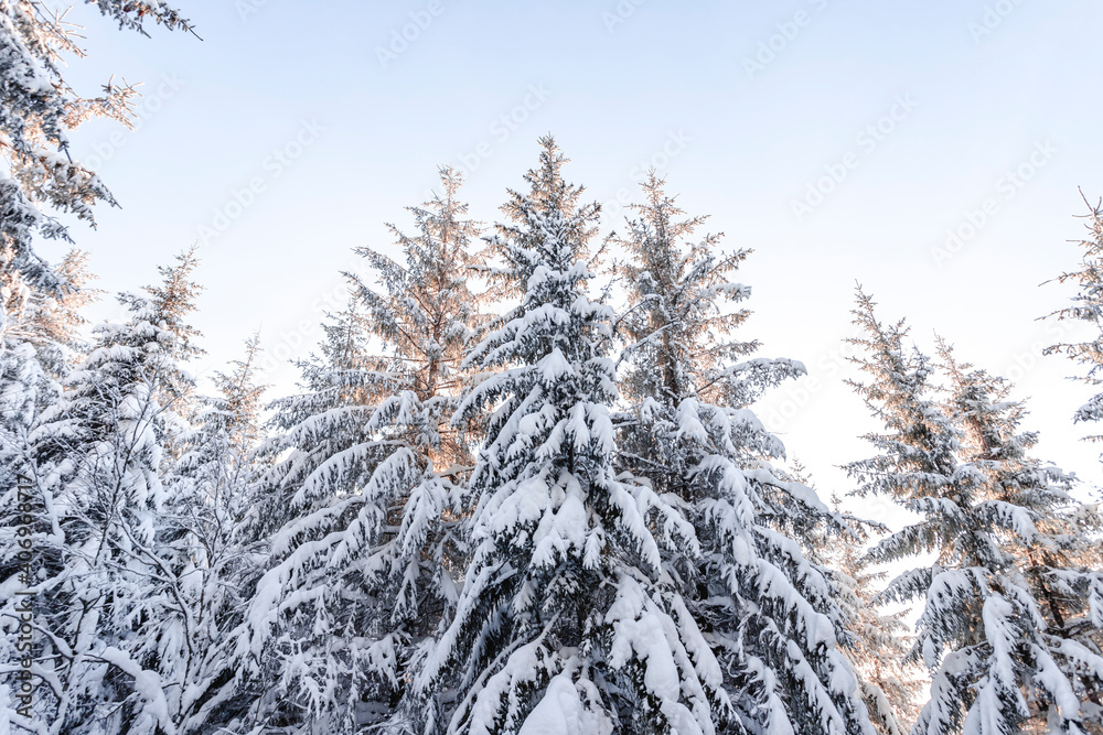 three trees in front of the sun.