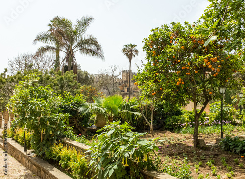 Kasbah of the Udayas  Rabat  Morocco