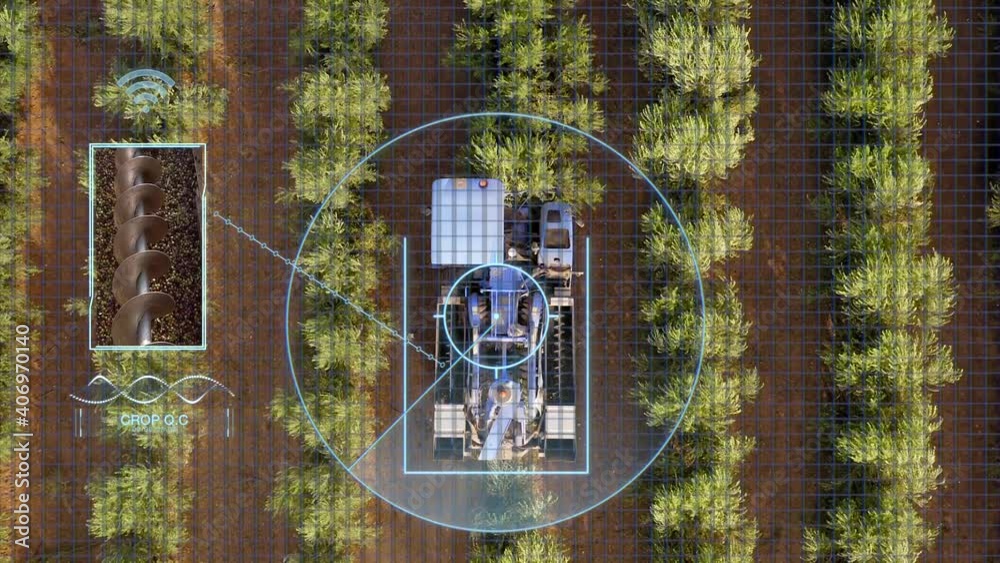 Agritech Drone monitoring Olive harvest operation  with zoom in bubble reading plant health.