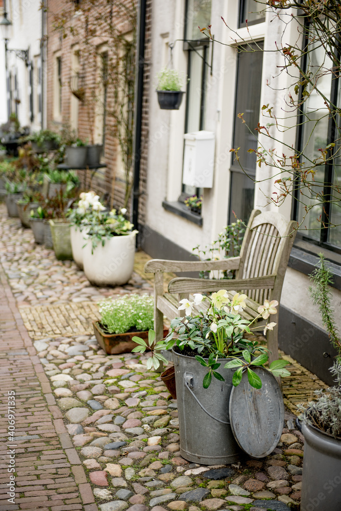 floral decor of the house territory in the old European town, pots of flowers near the entrance to the house. Elburg, Holland, the Netherlands.