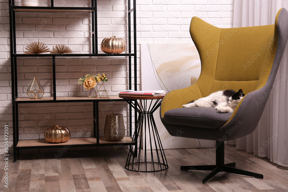 Obraz premium Cute cat in armchair near shelving at home. Interior design