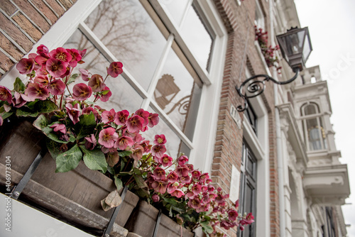 Foto Flower filled window boxes