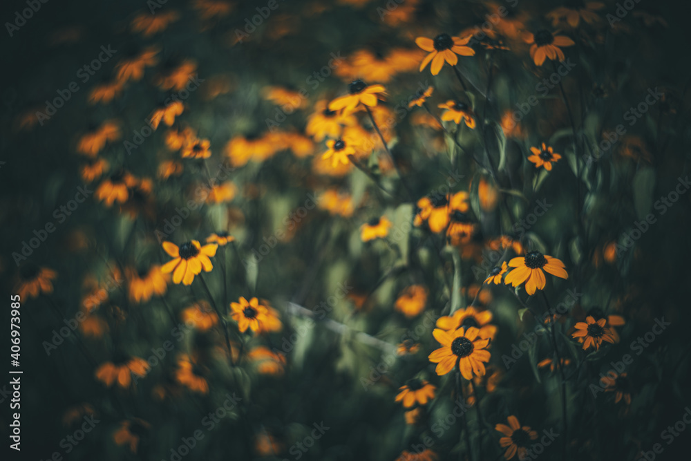 Soft focus flowers- light bokeh Soft focus flowers- light bokeh