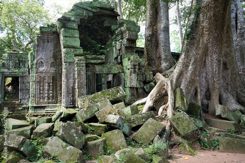 Overgrown tree at Ta Prohm Temple in Angkor Thom, Siem Reap, Cambodia