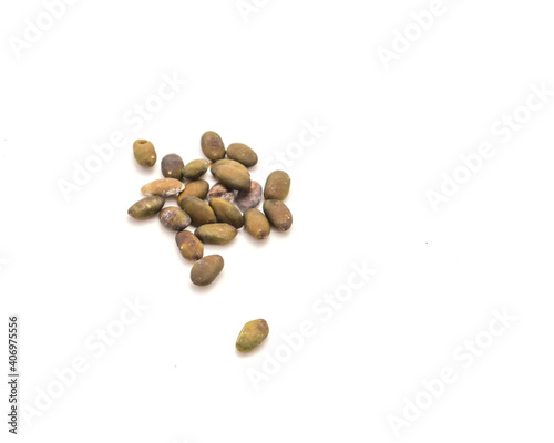 Albizia lebbeck or frywood, flea tree peeled seeds isolated on white background photo