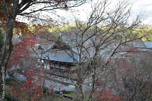 Obraz na płótnie 滋賀県の良いところ w salonie