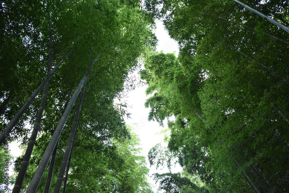 滋賀県の良いところ