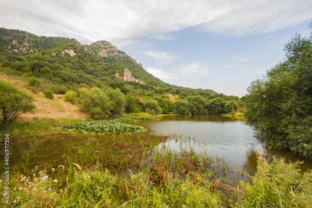Fototapeta premium Beautiful mountain scenery. Mountains covered with green trees with residential settlements. In Kabardino-Balkaria. Of the Russian Federation.