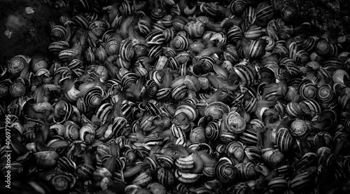 black and white texture