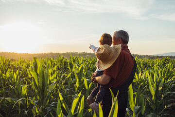 Happy family in corn field. Family standing in corn field an looking at sun rise