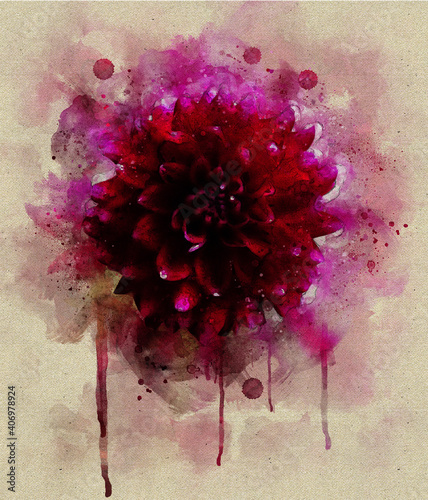Rose Flower