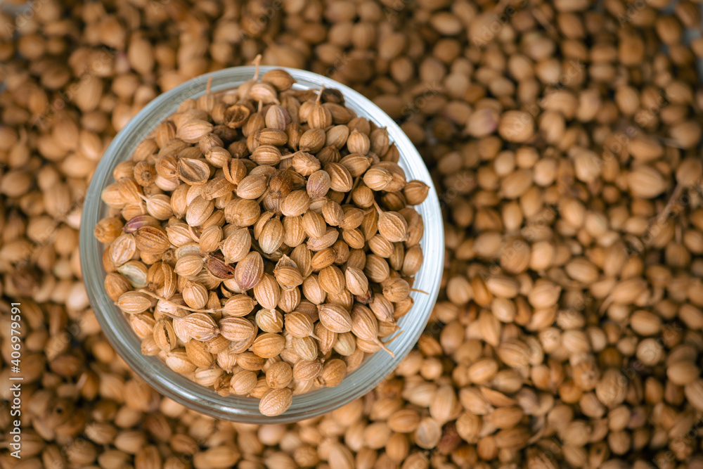 Top view of dried coriander fruits also known as coriander seeds. Top view of dried coriander fruits also known as coriander seeds.