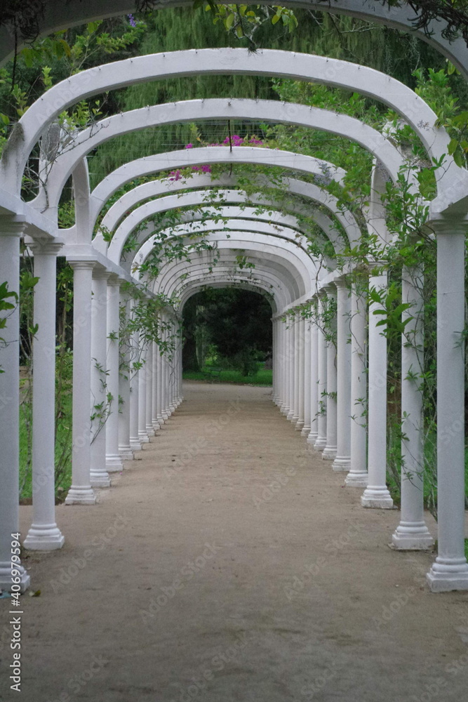 Fototapeta Garden Arch at Rio de Janeiro's Imperial Botanical Gardens