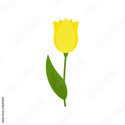Yellow tulip on a green stem with leaves isolated on a white background. Template for greeting cards, banners for Valentines Day, March 8, Birthday, wedding. Vector illustration. Cartoon style