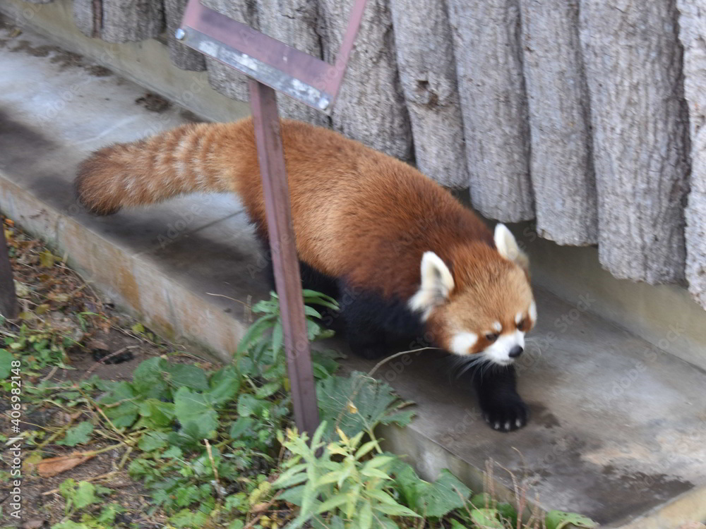 滋賀県の良いところ
