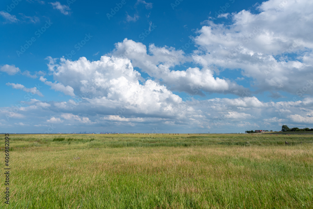 Landscape with salt marshes by Fedderwardersiel