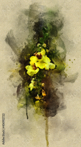 Yellow Flower