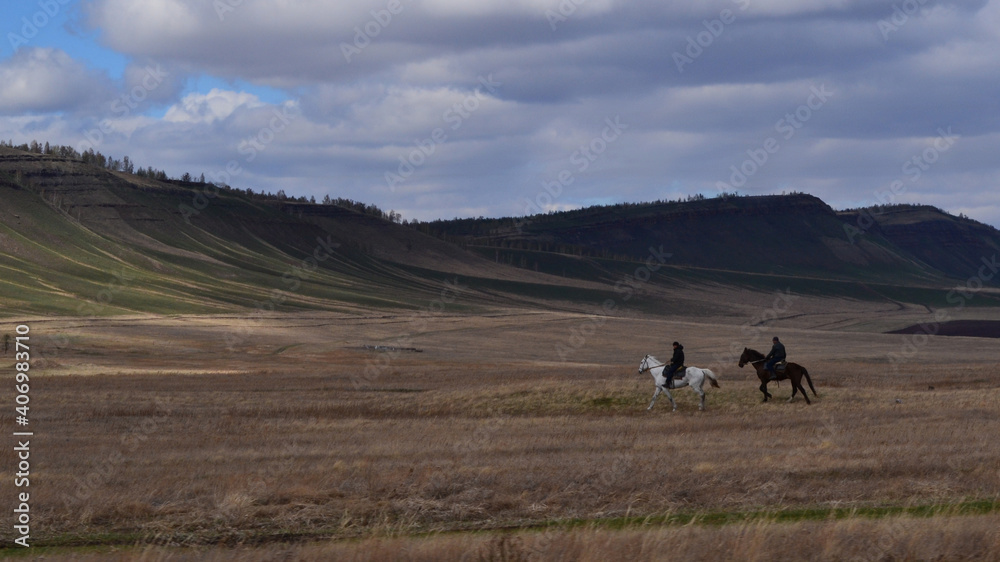 Obraz premium horses in the mountains