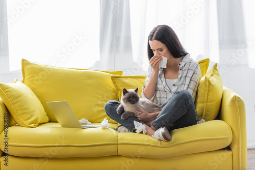 Konstfotografi allergic woman wiping nose with paper napkin while sitting on sofa with cat near