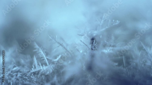 Growing snow ice crystals from oversaturated water vapor on dry ice base photo