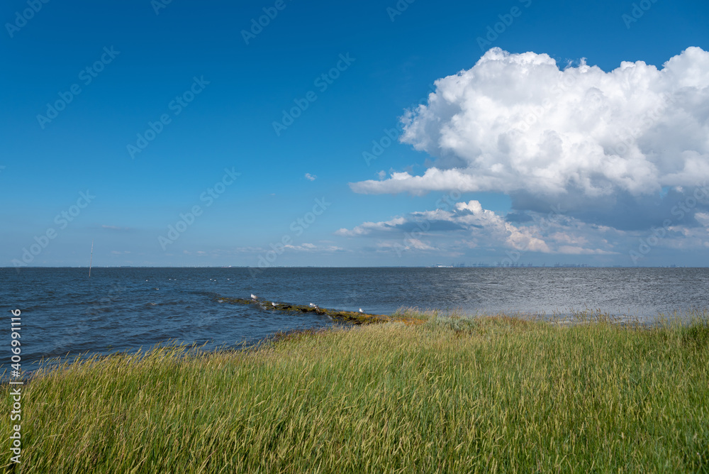Landscape at the mouth of the Weser by Fedderwardersiel