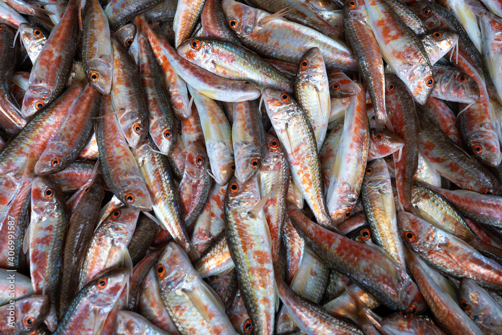 A heap of fresh  red mullet  background